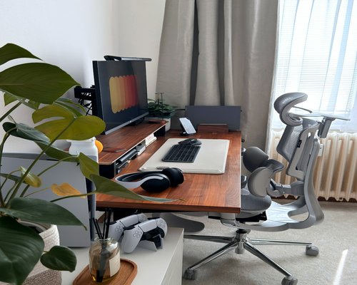 A well-lit comfortable home workspace with an ergonomic chair and plant near the window